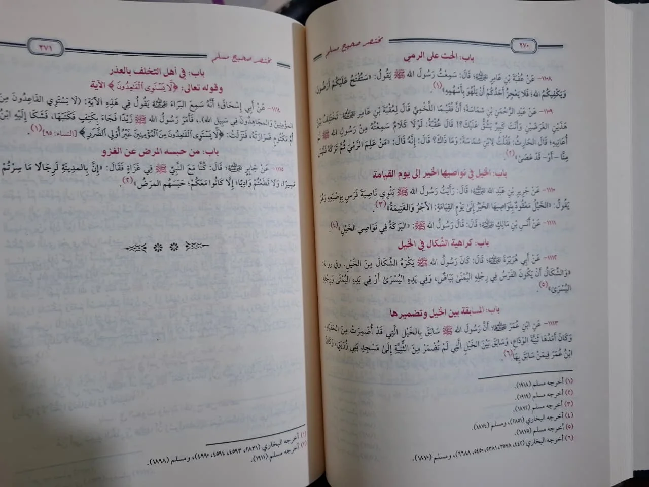 مختصر صحيح مسلم زكي الدين المنذري - الصورة 2