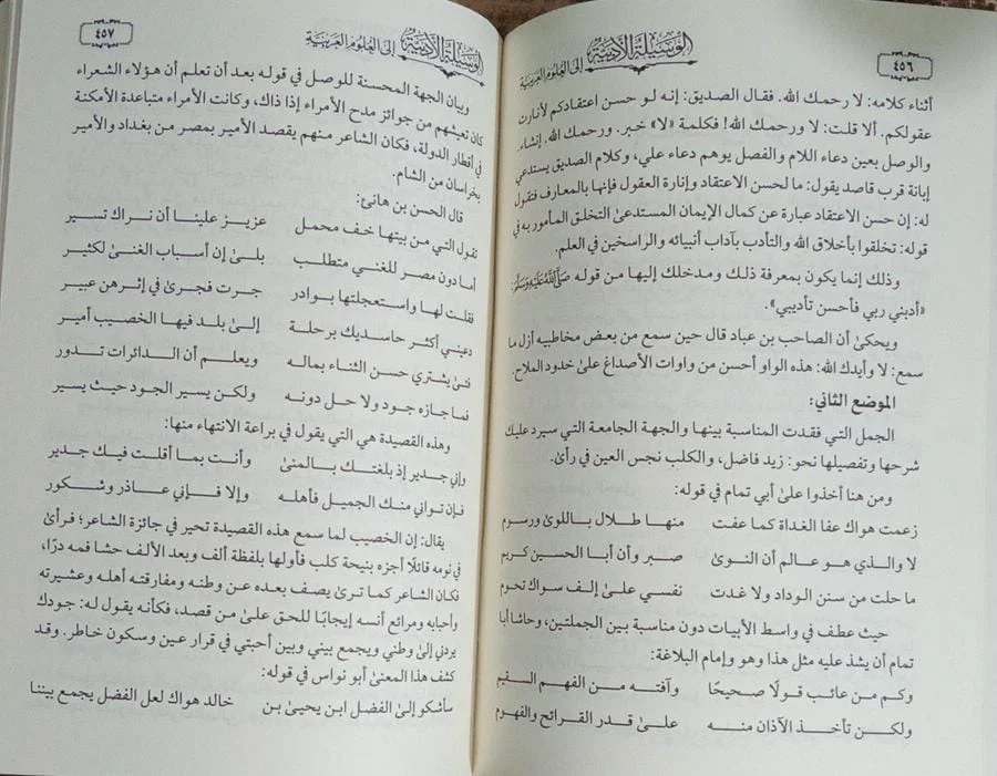 الوسيلة الأدبية إلى العلوم العربية حسين المرصفي - الصورة 2