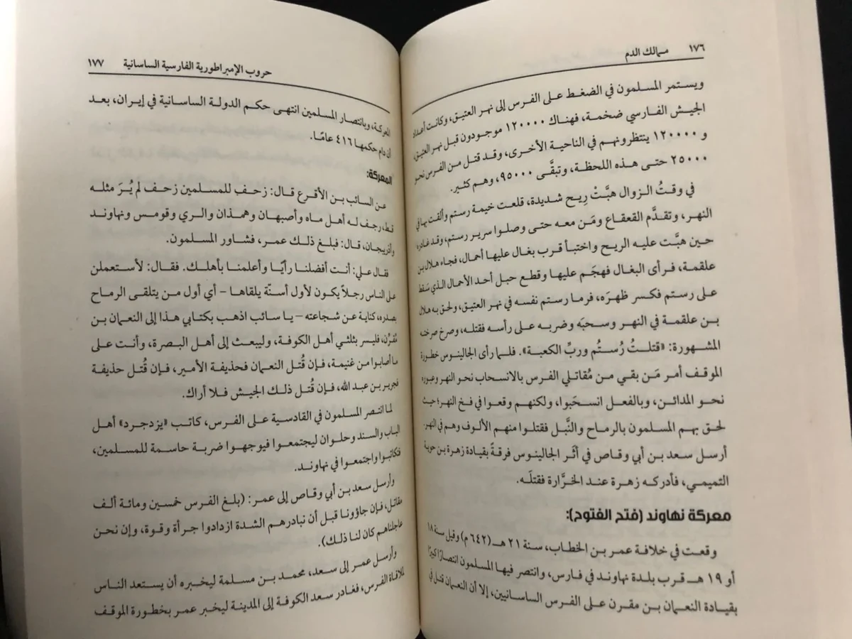 ⁦كتاب ممالك الدم   محمد صلاح الدين⁩ - الصورة ⁦2⁩