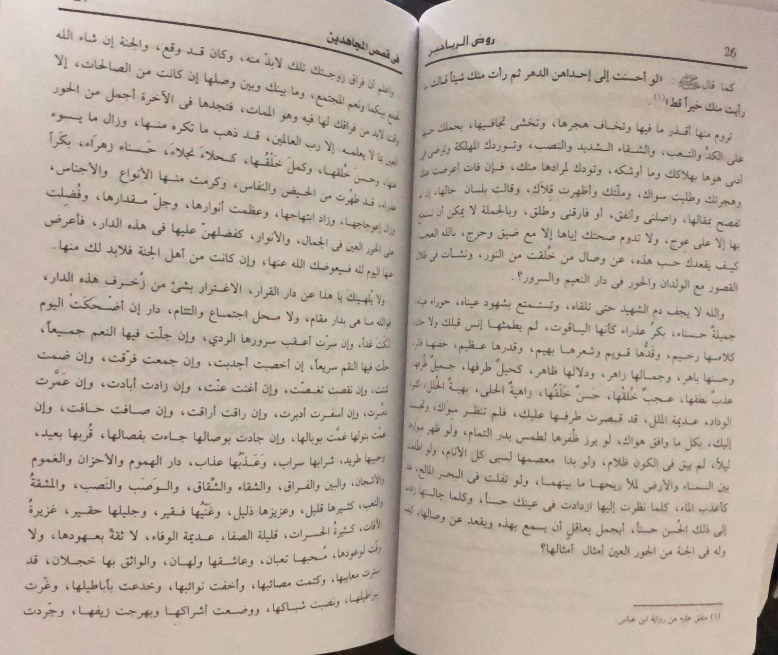 روض الرياحين في قصص المجاهدين حلمي بن اسماعيل - الصورة 2