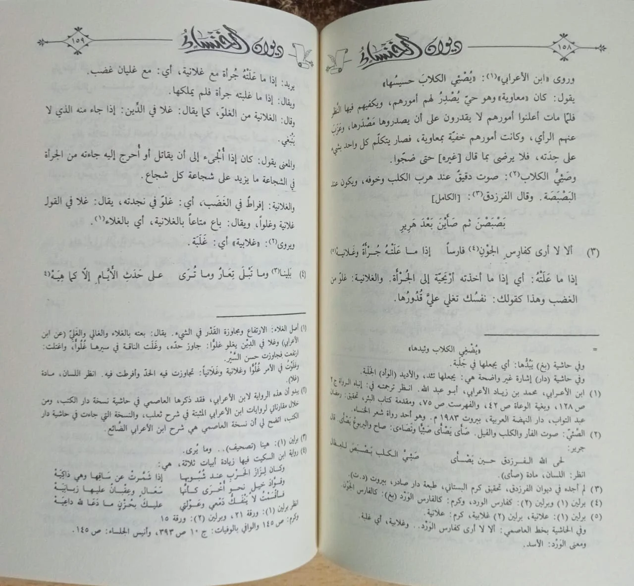 ديوان الخنساء - الصورة 2