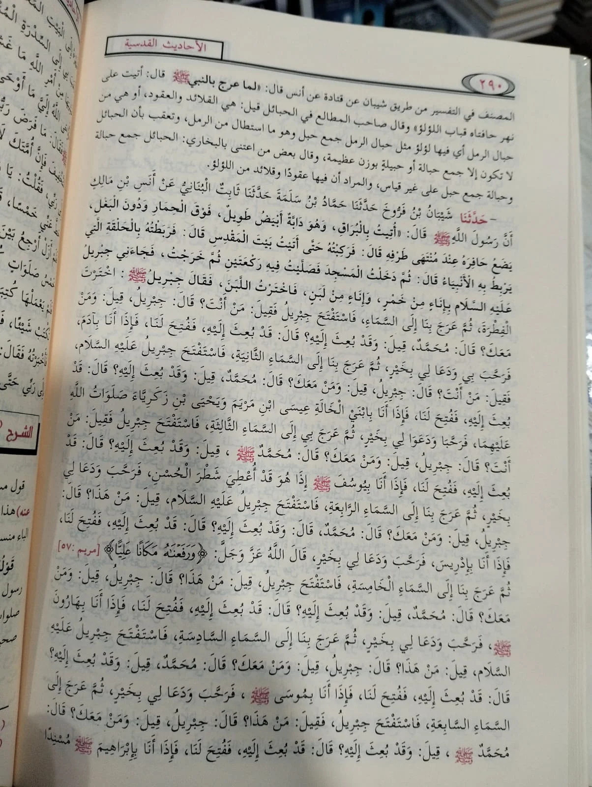 الأحاديث القدسية الصحيحة وشروحها د محمد أحمد تامر - الصورة 2