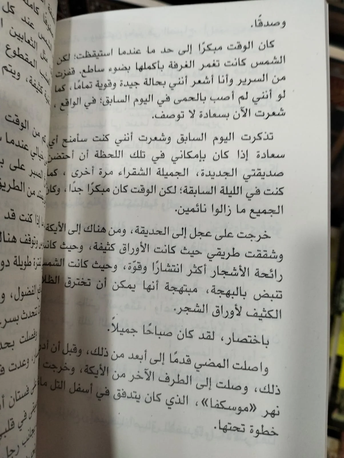 بطل صغير وبولزونكوف فيودور دوستويفسكي - الصورة 2